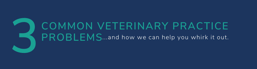 3-Common-Veterinary-Practice-Problems
